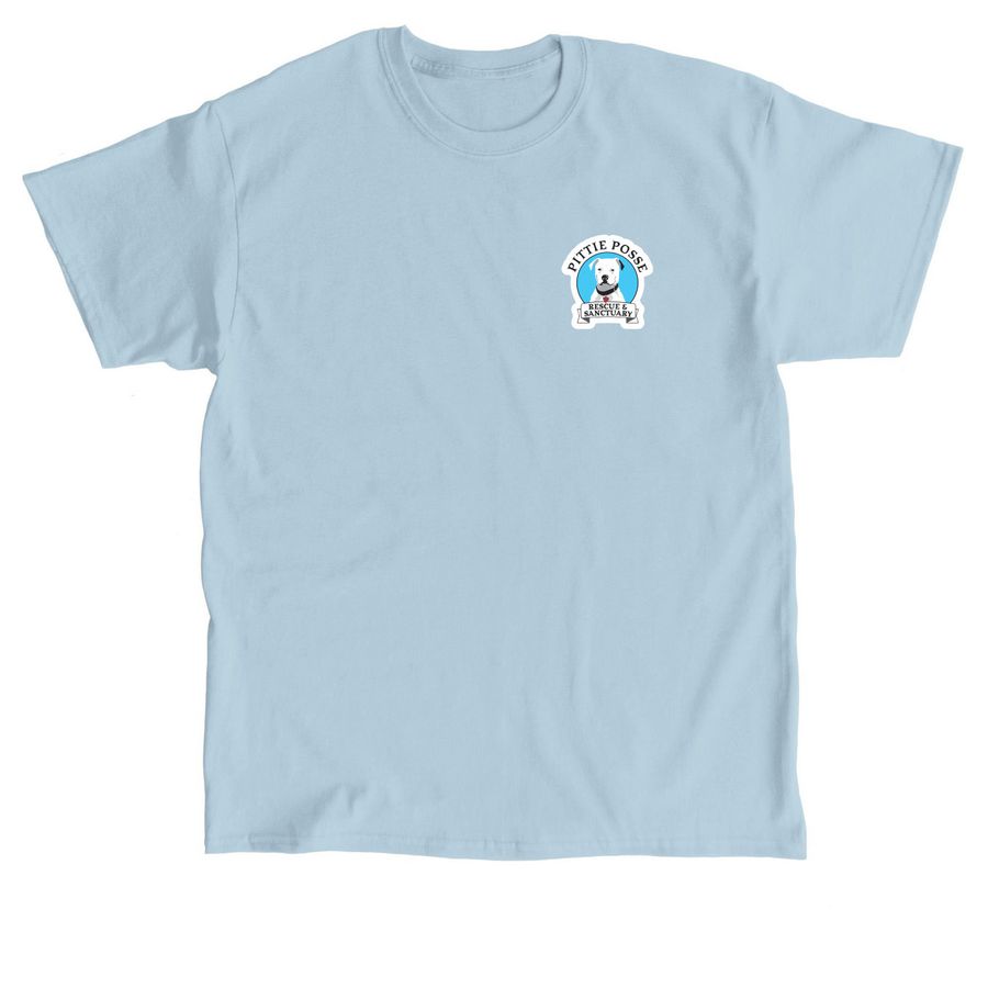 2026 Second Chance Club, a Light Blue Classic Unisex Tee