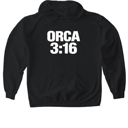 Orca 3:16, a Black Gildan Softstyle Pullover Hoodie