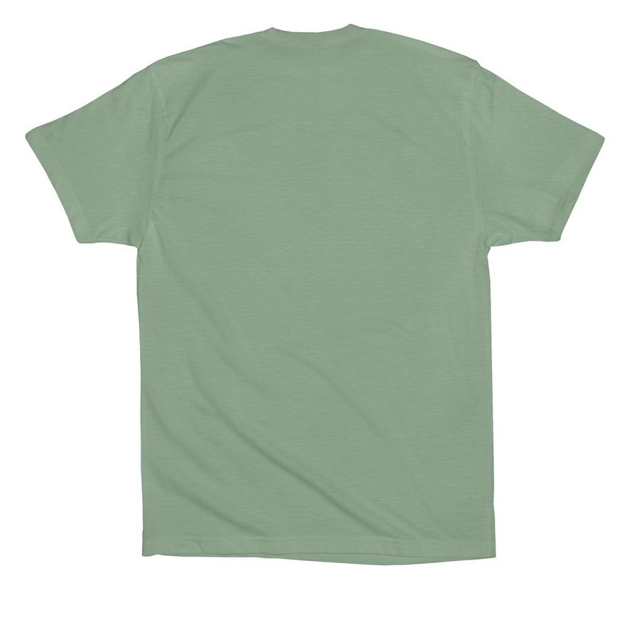 NET WORTH, a Sage Premium Cotton Tee (back-view)