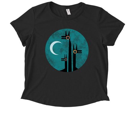 Family Photo Shoot, a Deep Black Allmade Eco Triblend Women?s Scoop Neck Tee