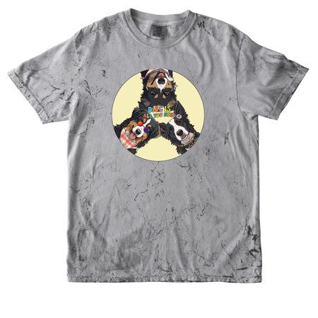 3rd Annual Disc Is All You Need, a Smoke Comfort Colors Colorblast Tee