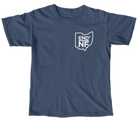 NF Walk Northeast Ohio 2026, a Midnight Comfort Colors Unisex Tee