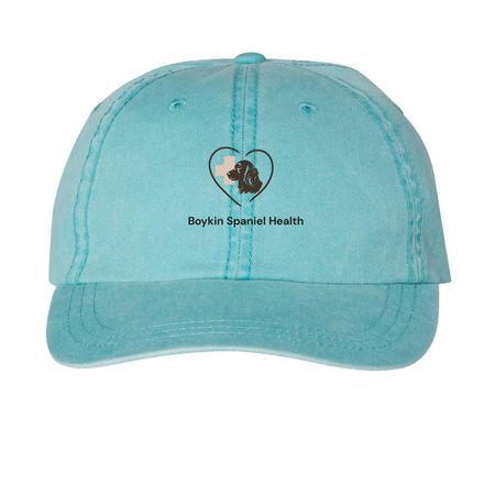 Boykin Spaniel Health, a Aqua Printed Pigment Dye Baseball Cap