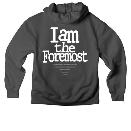 Theme Verse 1, a Asphalt Premium Heavyweight Pullover Hoodie (back-view)