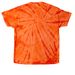 Dogs of Colorado, a Orange Classic Tie Dye Tee (back-view)