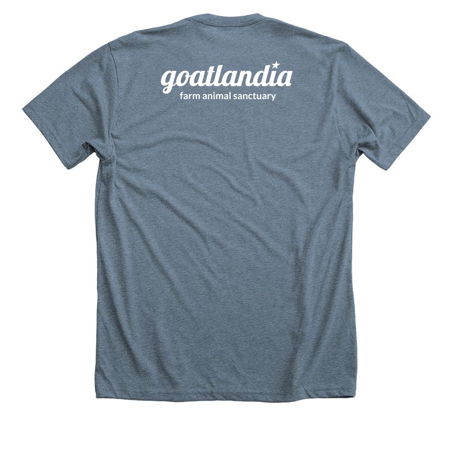 Tee-Look out for...THE WOOLY MANIACS!, a Heather Slate Premium Unisex Tee (back-view)