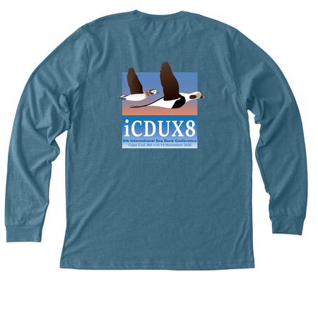 iCDUX8: Tees & Long-sleeves (dark), a Heather Deep Teal Premium Long Sleeve Tee (back-view)