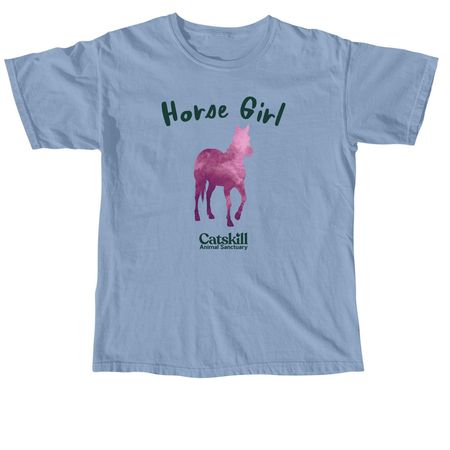 *Horse Girl* Tee | Tank | Sweatshirt, a Washed Denim Comfort Colors Youth Tee