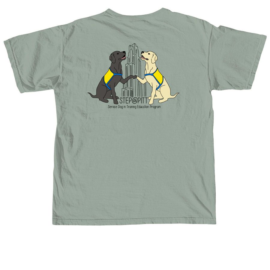 STEP@Pitt Merch Front and Back, a Bay Comfort Colors Unisex Tee (back-view)