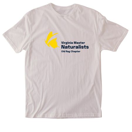Large Logo, a Ice Grey Softstyle Cotton Tee