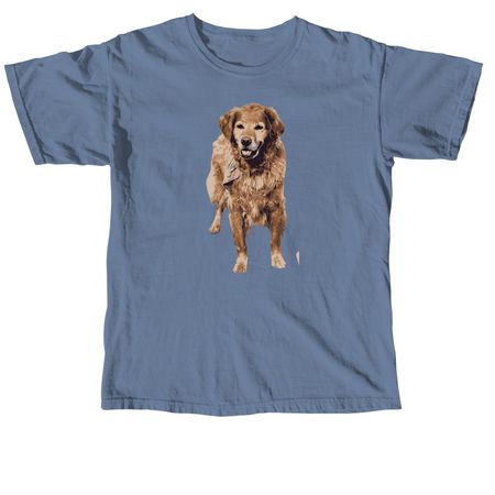 Ginger Snap, a Blue Jean Comfort Colors Unisex Tee