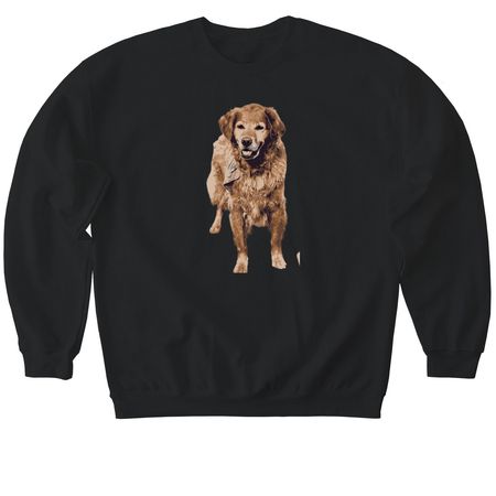 Ginger Snap, a Black Softstyle Crewneck Sweatshirt
