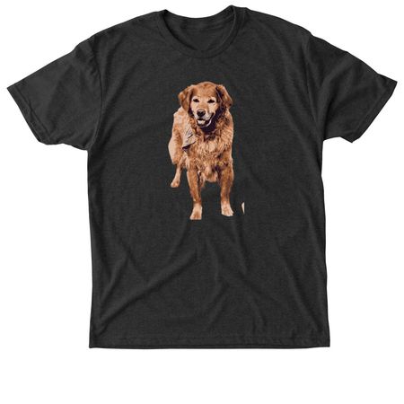 Ginger Snap, a Vintage Black Triblend Unisex Tee