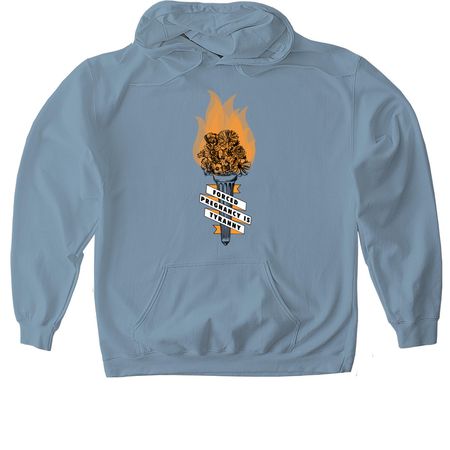 Forced Pregnancy is Tyranny, a Stone Blue Gildan Softstyle Pullover Hoodie
