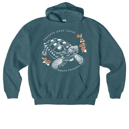 Desert Tortoise Apparel, a Stargazer Stanley/Stella Cooper Dry Pullover Hoodie