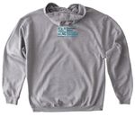 DTRF: Shirts/Sweatshirts, a Sport Grey Gildan Softstyle Pullover Hoodie (back-view)