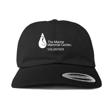 Volunteer Baseball Cap - Retail, a Black Printed Classic Baseball Cap