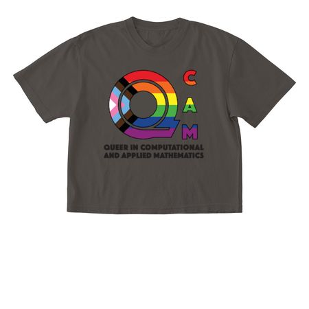 QCAM Progress Pride Logo, a Pepper Comfort Colors Boxy Tee
