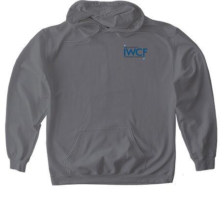 Service Project Fun, a Charcoal Gildan Softstyle Pullover Hoodie
