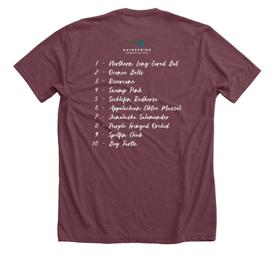 Connected By Water- Light Graphic Shirts, a Heather Maroon Premium Unisex Tee (back-view)