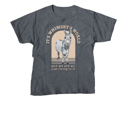 Whimsey's World (apparel), a Dark Heather Youth Unisex Tee