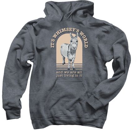 Whimsey's World (apparel), a Dark Heather Pullover Hoodie