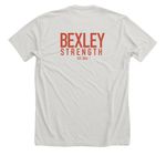 Bexley Strength Bunny, a Heather Cement Premium Unisex Tee (back-view)