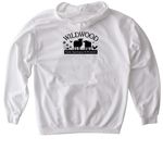 Wildwood Pride: Trans Flag Design, a White Gildan Softstyle Pullover Hoodie (back-view)