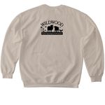 Wildwood Pride: Trans Flag Design, a Sand Softstyle Crewneck Sweatshirt (back-view)