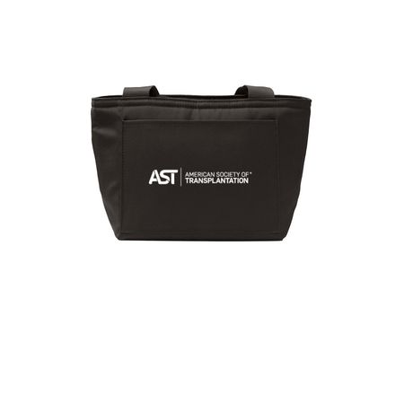 AST Lunch Box, a Deep Black Insulated Lunch Tote