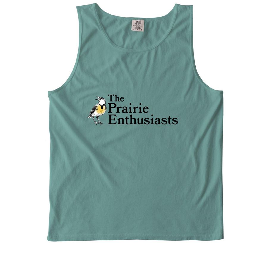 Tank Top, a Seafoam Comfort Colors Tank Top