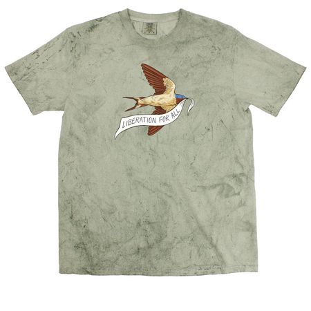 Liberation for All, a Fern Comfort Colors Colorblast Tee