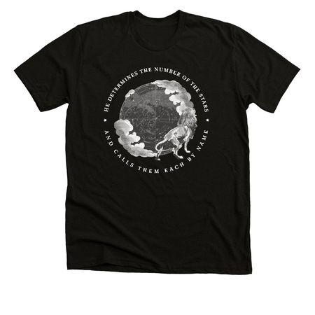 Psalms 147:4 (Cloudy), a Solid Black Blend Premium Unisex Tee
