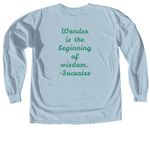 Wonder & Wander, a Chambray Comfort Colors Long Sleeve Tee (back-view)
