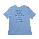 Wonder & Wander, a Carolina Blue Women?s Relaxed Cotton Tee (back-view)