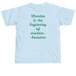 Wonder & Wander, a Chambray Comfort Colors Unisex Tee (back-view)