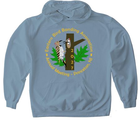 27 Meeting Large Logo Long Sleeve, a Stone Blue Gildan Softstyle Pullover Hoodie