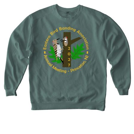 27 Meeting Large Logo Long Sleeve, a Blue Spruce Comfort Colors Crewneck Sweatshirt
