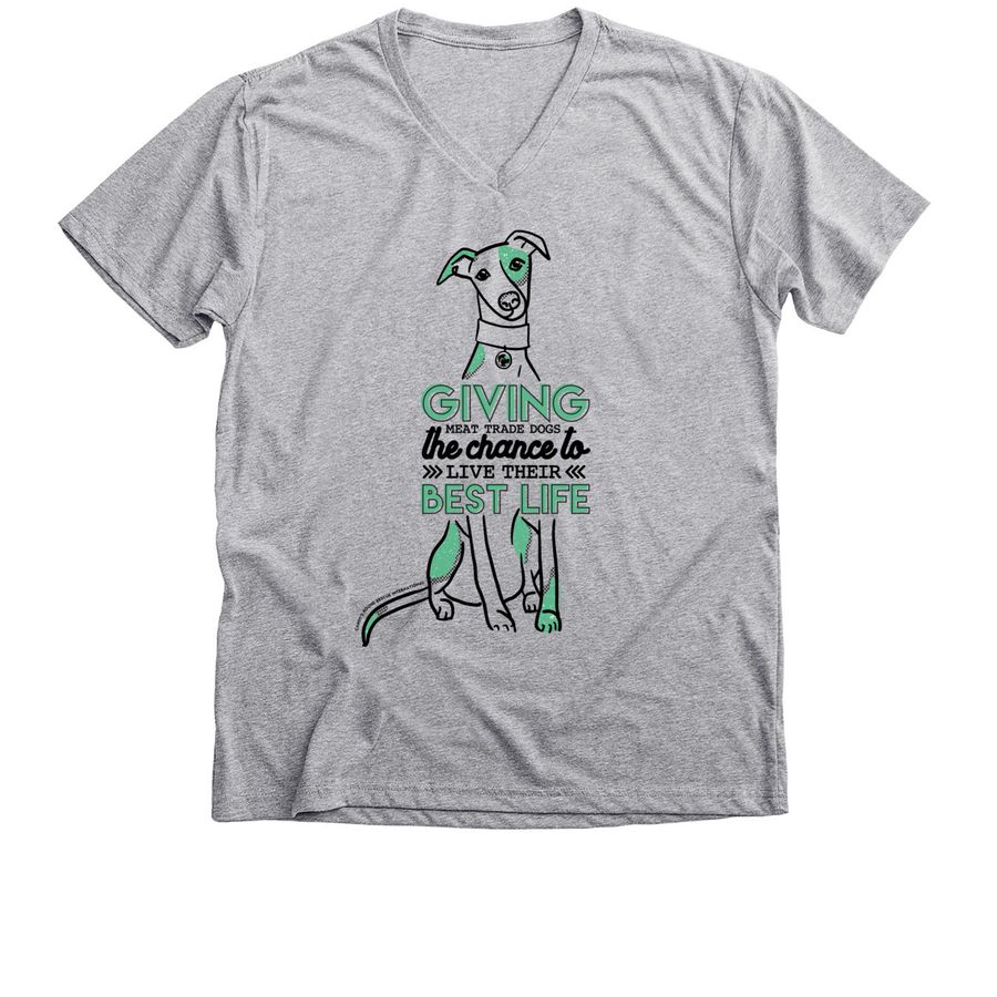 Living Their Best Life, a Athletic Heather Premium V-Neck Tee