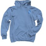 Team T1D Collection, a Carolina Blue Pullover Hoodie (back-view)