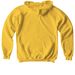 Keep Going Shirts, a Daisy Softstyle Youth Pullover Hoodie (back-view)