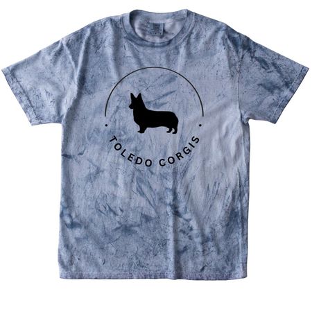 Toledo Corgis Pride Collection, a Ocean Comfort Colors Colorblast Tee