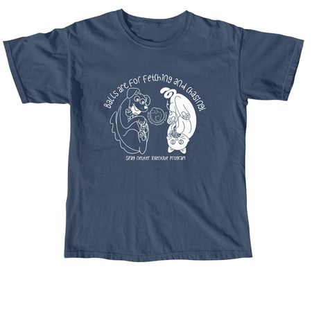 Balls Are for Fetching and Chasing (Dark), a Midnight Comfort Colors Unisex Tee