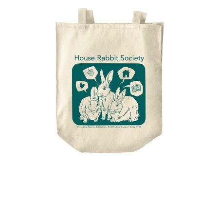 HRS Sanderson Sisters Tote, a Natural Over-the-Shoulder Shopping Tote Bag