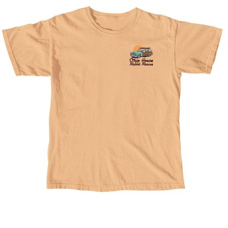 Beach Bunny Vibes, a Neon Cantaloupe Comfort Colors Unisex Tee