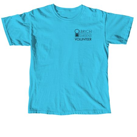 Volunteer T-Shirt (Bright), a Lagoon Blue Comfort Colors Unisex Tee