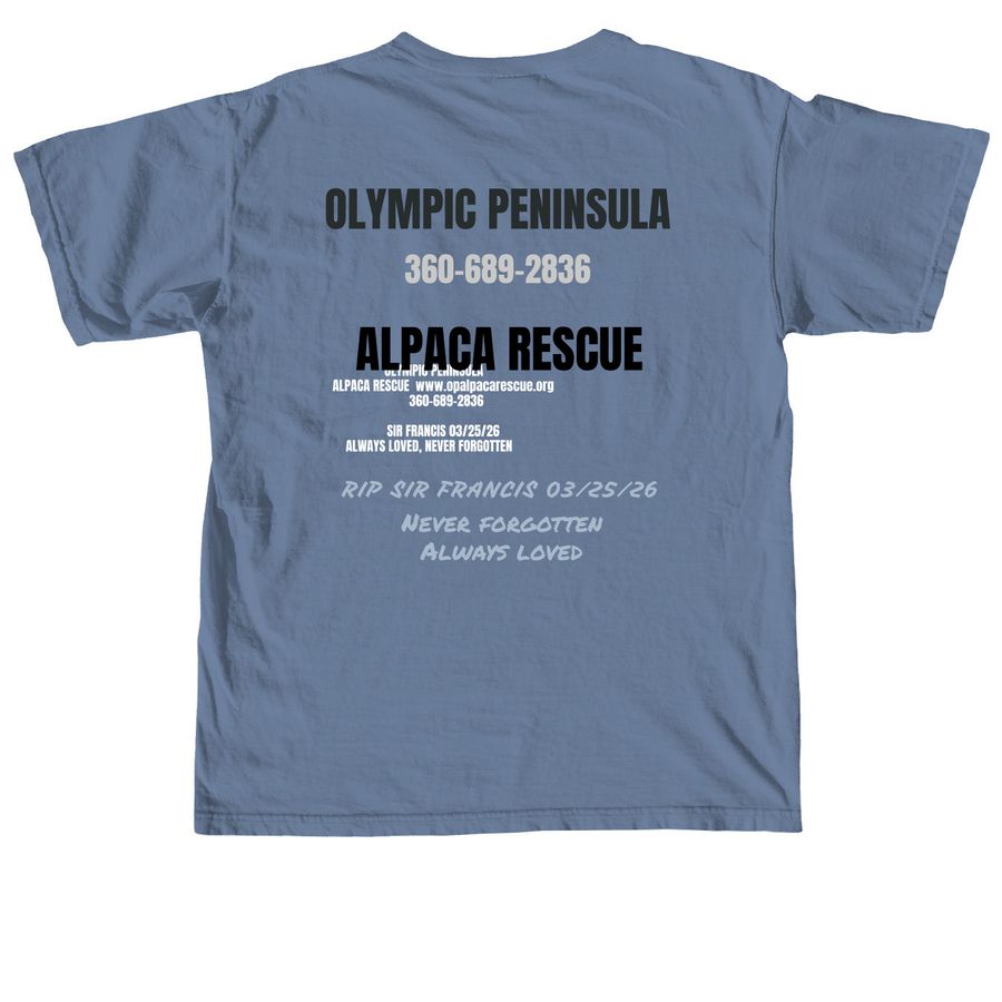 MEMORIAL For Sir Francis, You will be missed, a Blue Jean Comfort Colors Unisex Tee (back-view)