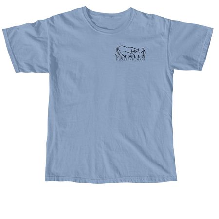Youth Life Lessons from Horses - Light Colors, a Washed Denim Comfort Colors Youth Tee