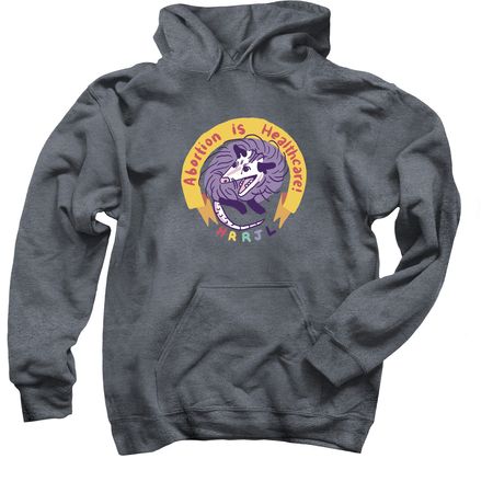 Abortion Is Healthcare Possum Sweaters, a Dark Heather Pullover Hoodie