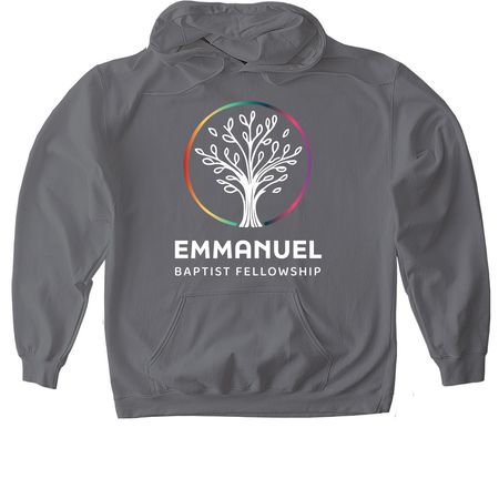 EBF Shirt - dark colors, a Charcoal Gildan Softstyle Pullover Hoodie
